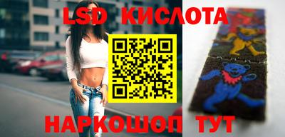 индика Рузаевка