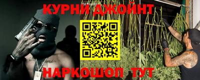 индика Рузаевка