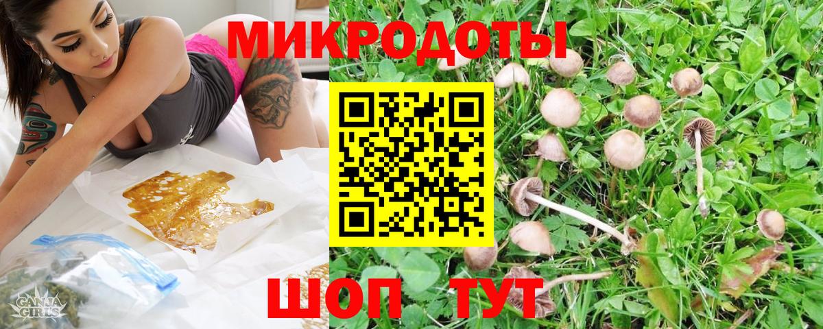 купить   Галлюциногенные грибы мухоморы  Вход с VPN  Рославль 