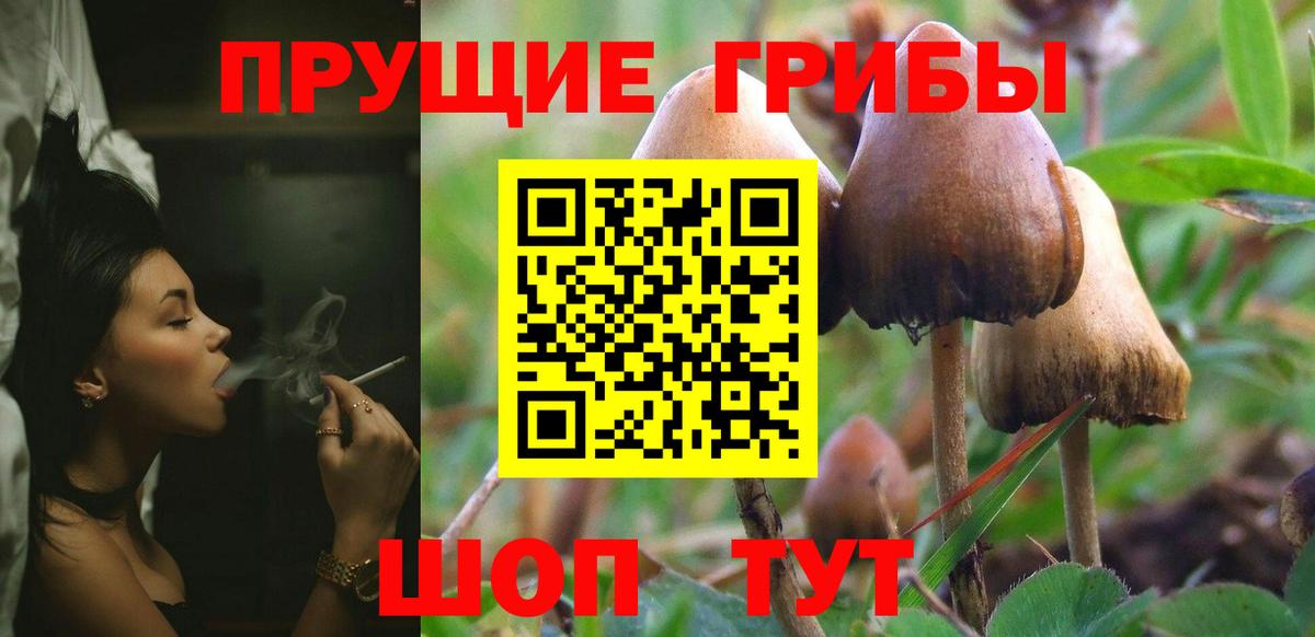 Галлюциногенные грибы прущие грибы Рославль